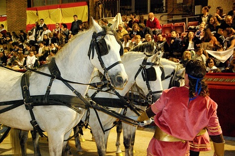 Andalusiska hästar i Spanien